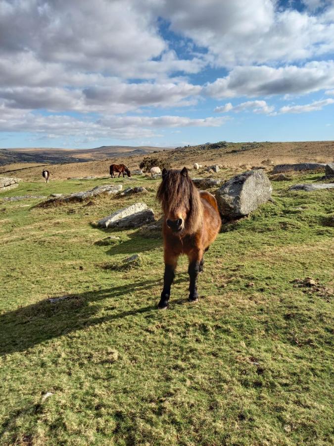 Dartmoor Inn Принстаун Экстерьер фото